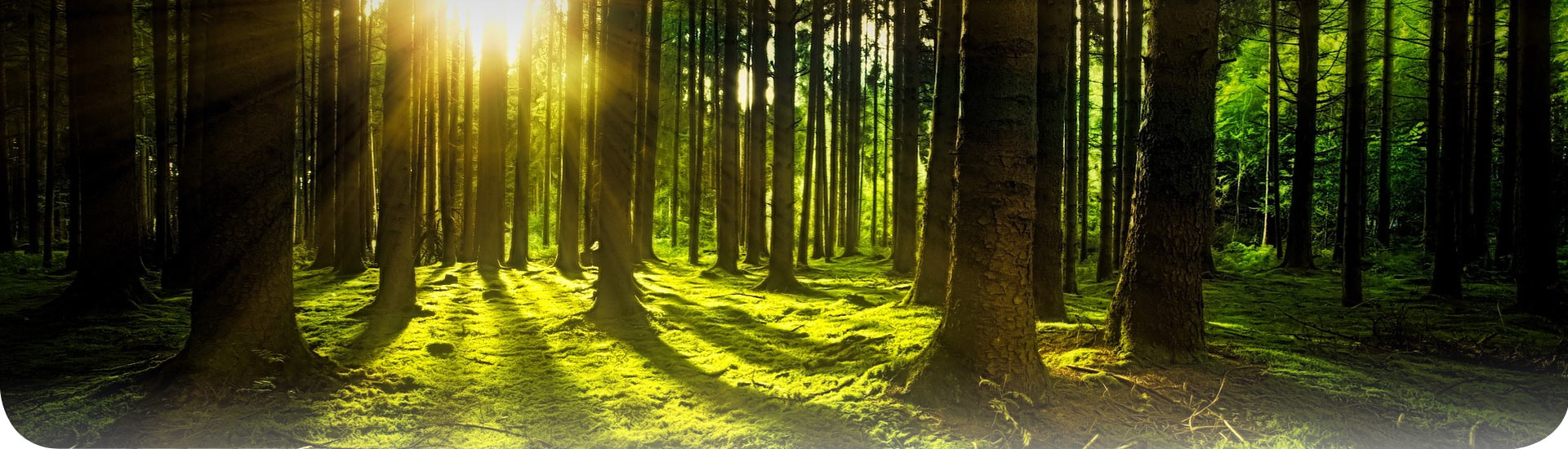 Finansijska garancija za delatnost upravljanja otpadom