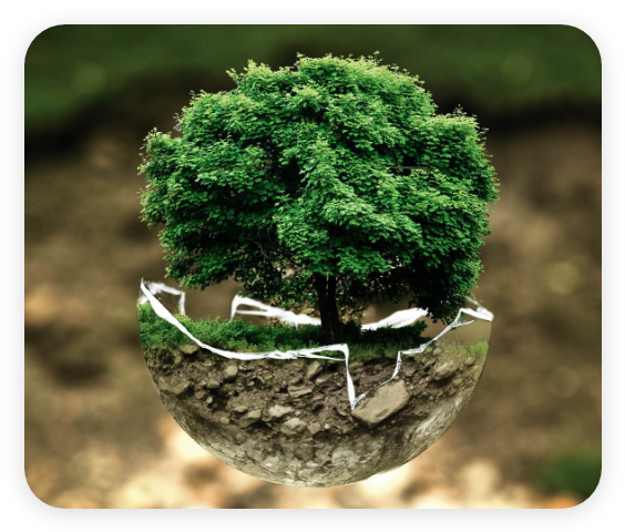 Soil testing